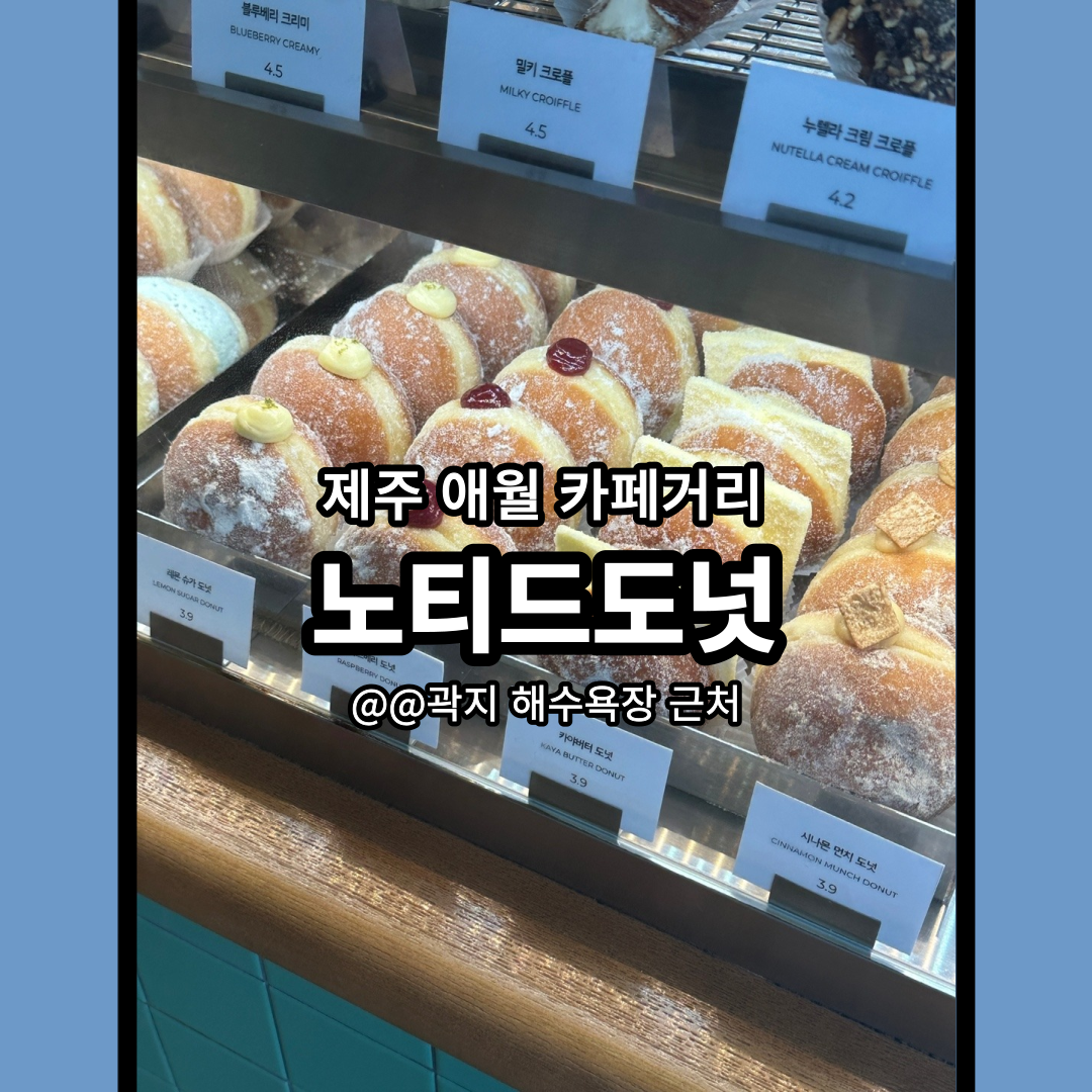 제주 노티드도넛