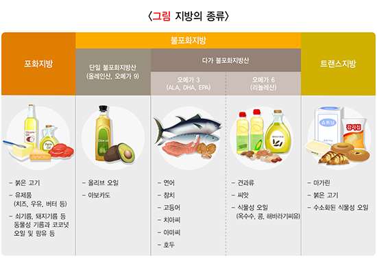 콜레스테롤 낮추고 건강 유지하는 식이 지방