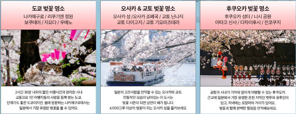 미리 준비하는 2024 일본 벚꽃 여행 꿀팁 할인쿠폰