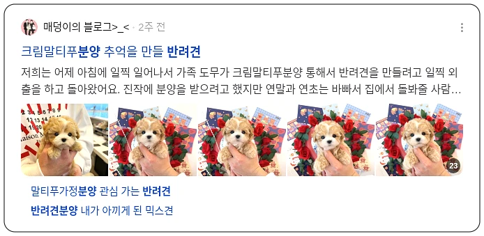반려견 분양_2_subsection