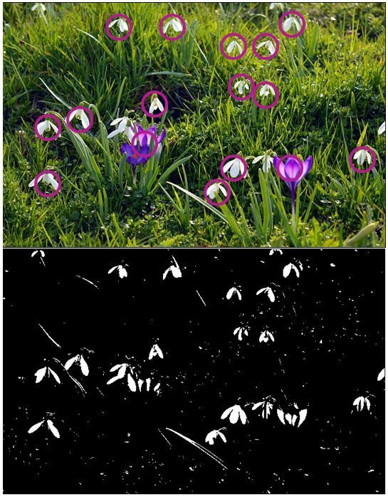  [Image Processing] 영상처리 란?