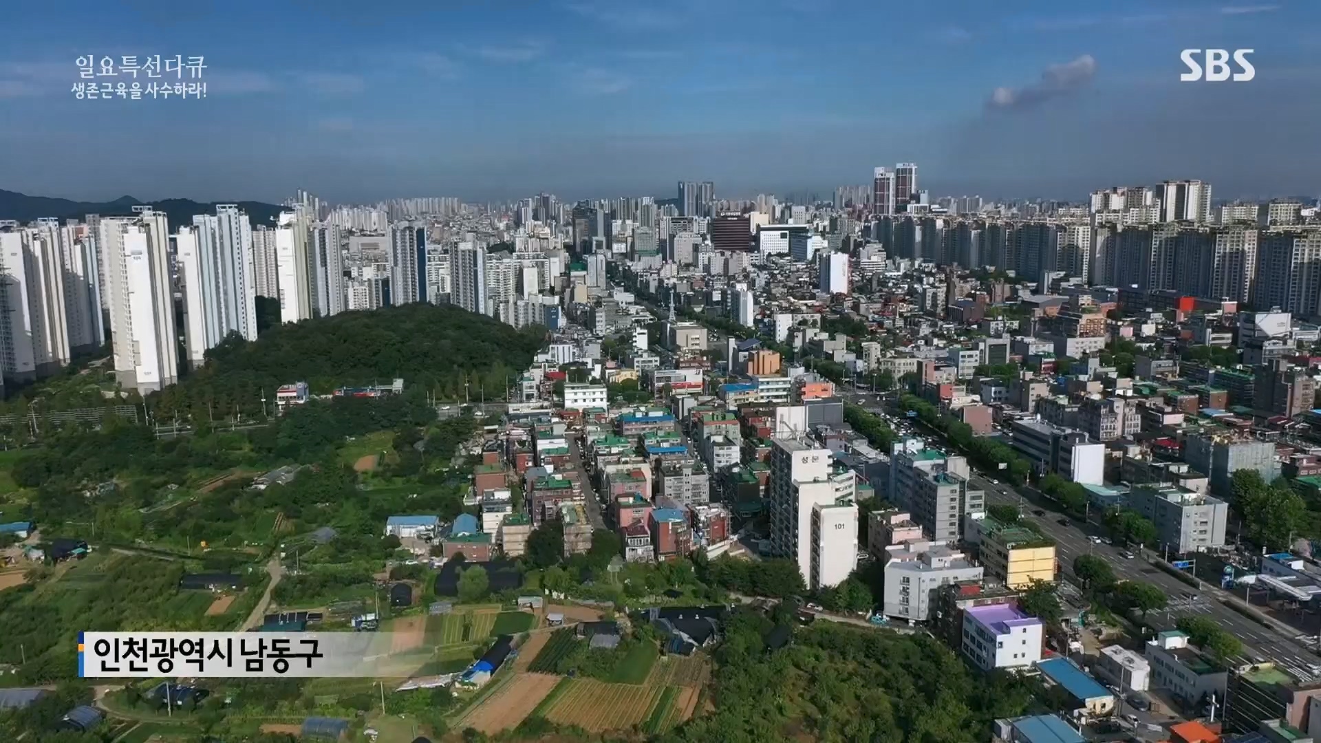 일요 특선 다큐멘터리.E319.230910p.H264-F1RST.mp4_20230918_202634.311.jpg