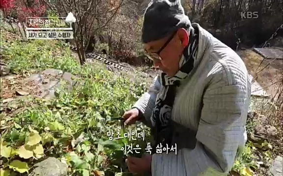 [3회] 자연의 철학자들 - KBS새처럼 살고 싶어라] 자연이라는 위대한 법당에서 숲의 울림, 새들의 소리를 들으며 깨달음을 얻은 도연 스님.ts_20220320_152441.052.jpg