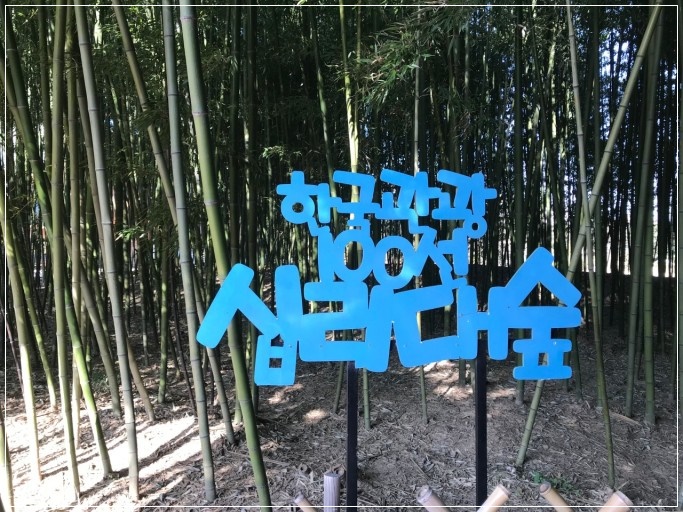  울산 가볼만한곳 태화강 국가정원 십리대숲 사계절 명소