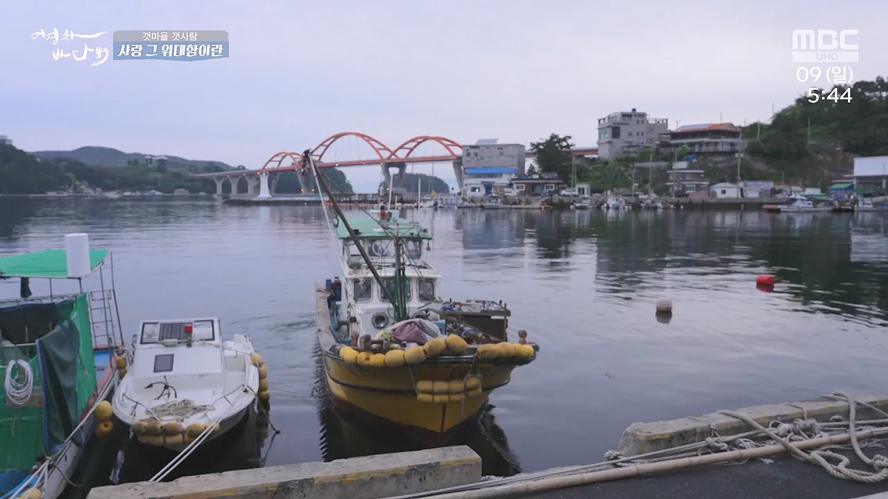 MBC 네트워크 특선 푸른백세 어영차 바다야.E1684.240610p-NEXT.mp4_20240611_203123.424.jpg