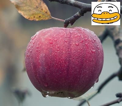  꼭 써보아야 할 잘 몰랐던 그림판 기능들
