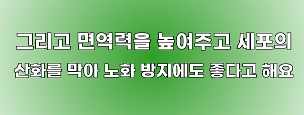 그리고 면역력을 높여주고 세포의 산화를 막아 노화 방지에도 좋다고 해요