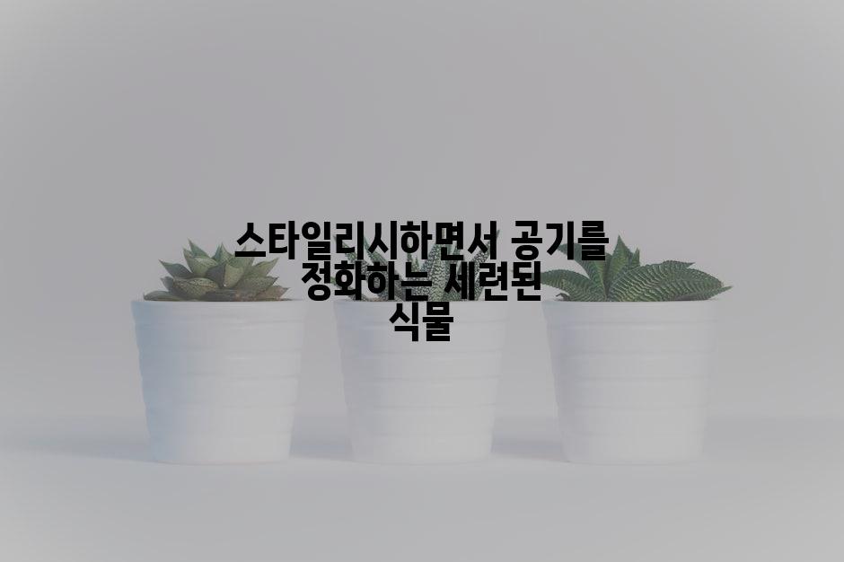스타일리시하면서 공기를 정화하는 세련된 식물