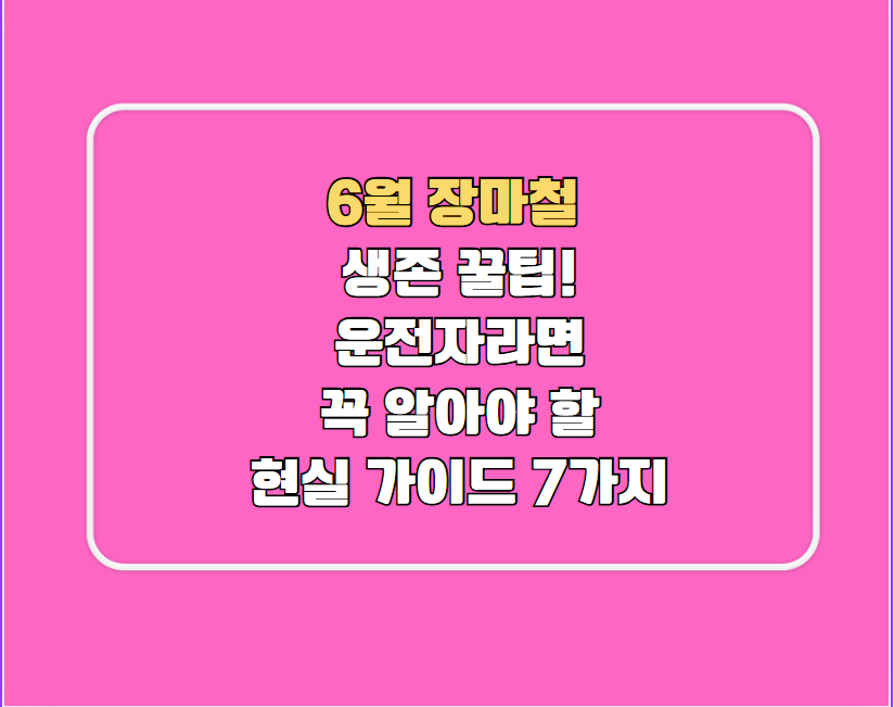 6월 장마철 생존 꿀팁! 운전자라면 꼭 알아야 할 현실 가이드 7가지