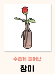 장미 꽃말