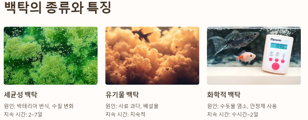 백탁의 종류와 특징 알아보기