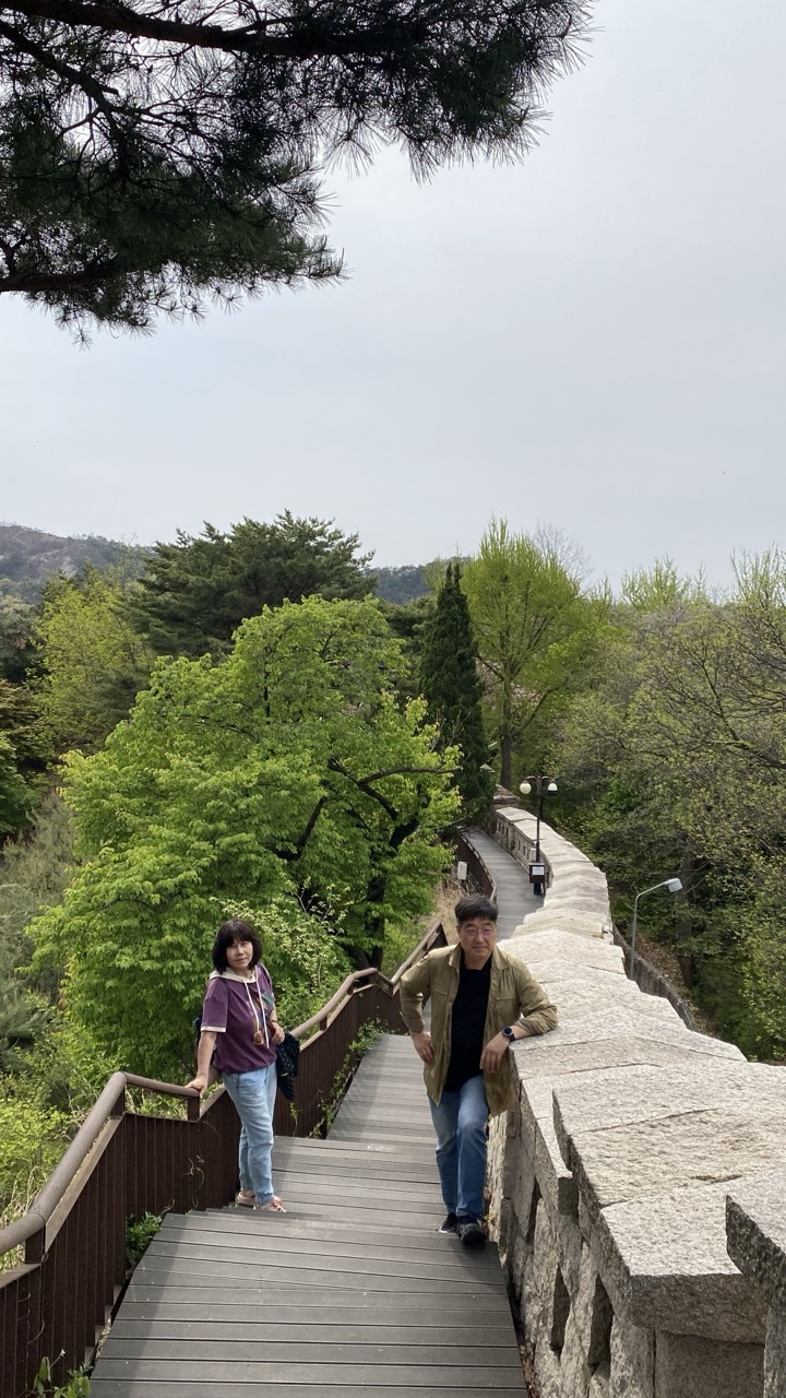 도성집 이미지