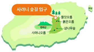 사려니숲