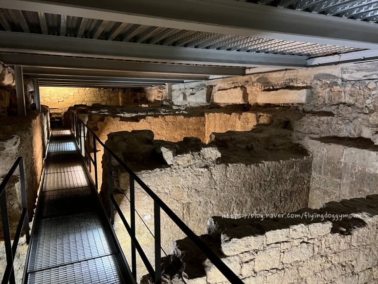 1세기는 포르투갈] 1세기 로마시대 지하 회랑을 경험할수 45