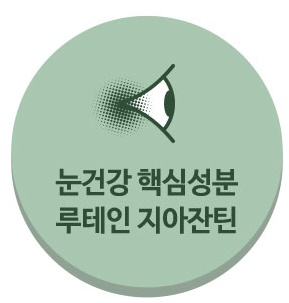  루테인 지아잔틴 효능 추천(feat. 아스타잔틴)