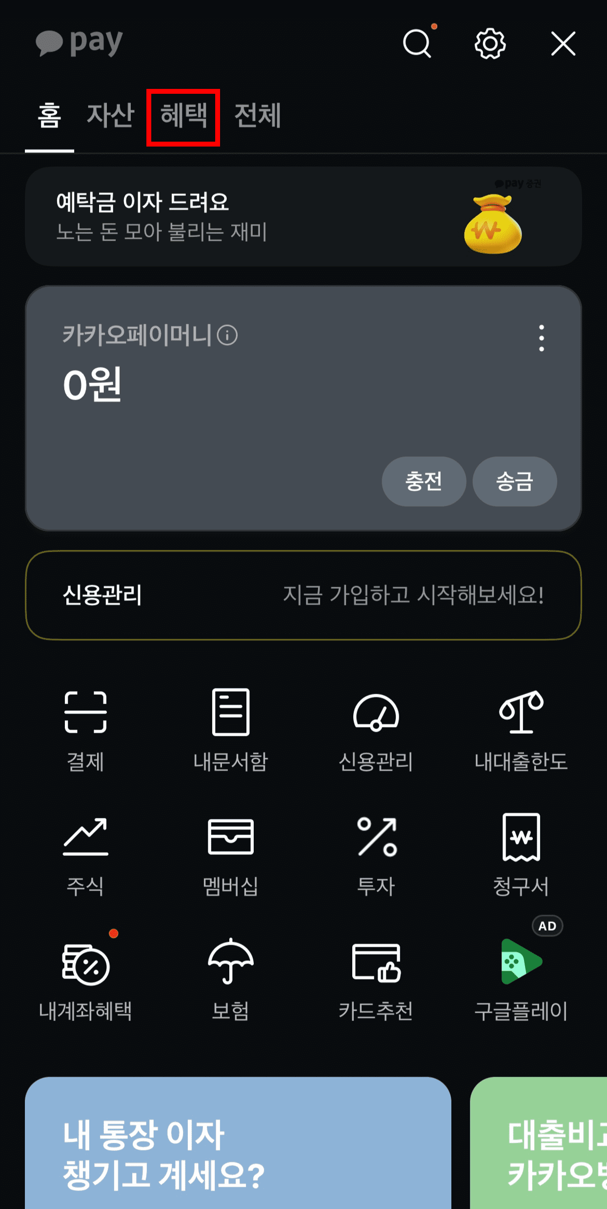 카카오페이 애플