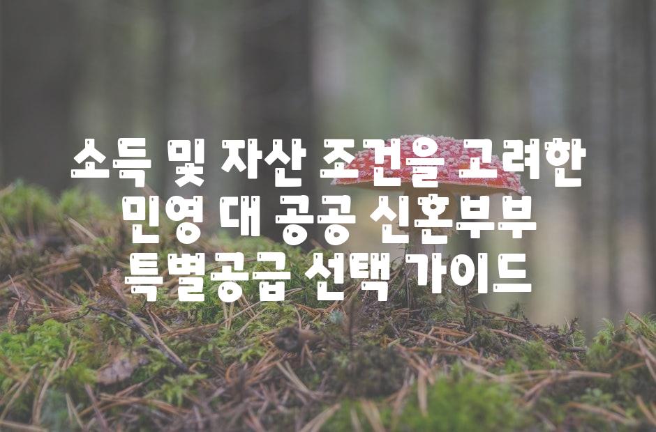 소득 및 자산 조건을 고려한 민영 대 공공 신혼부부 특별공급 선택 안내