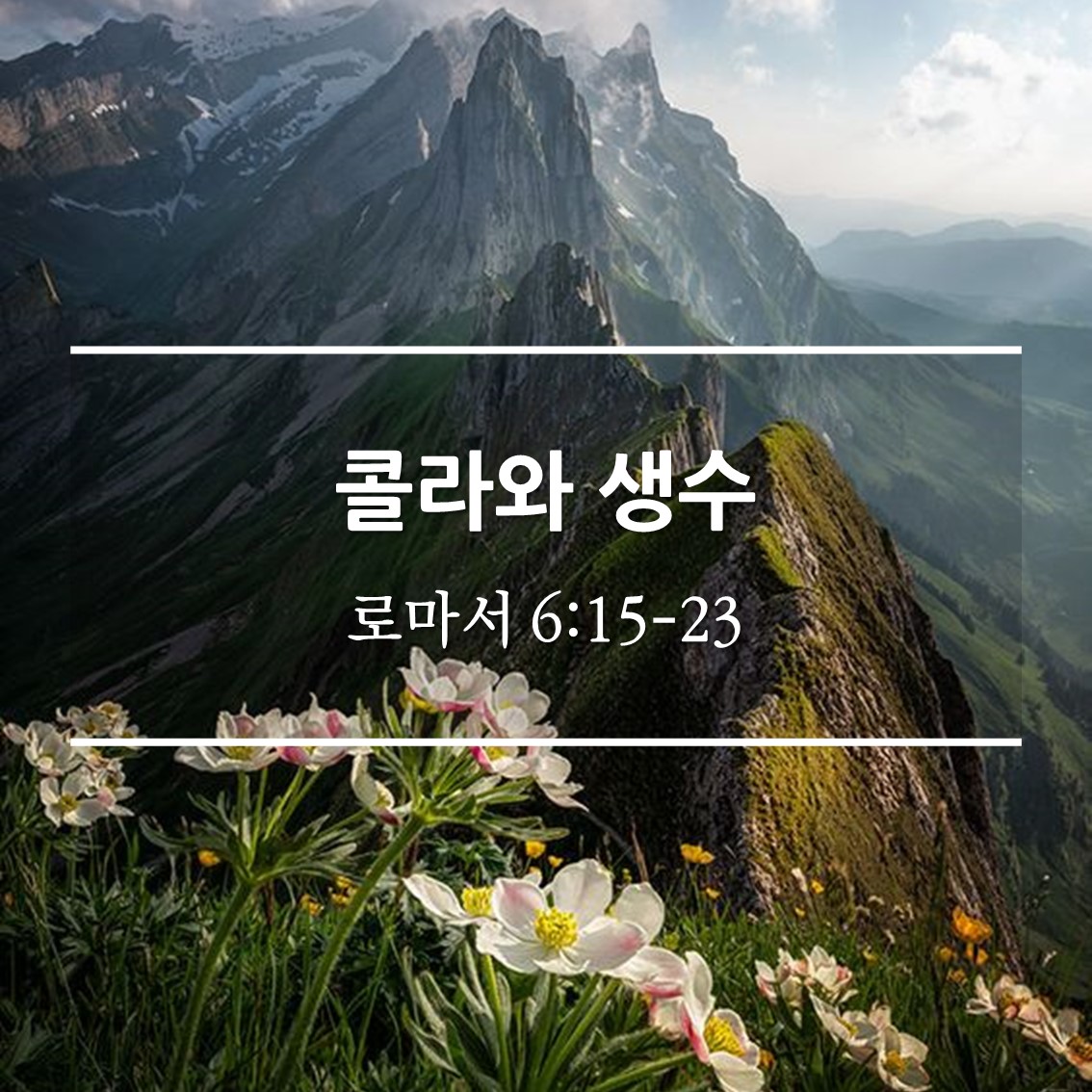  콜라와 생수 / 롬 6:15-23