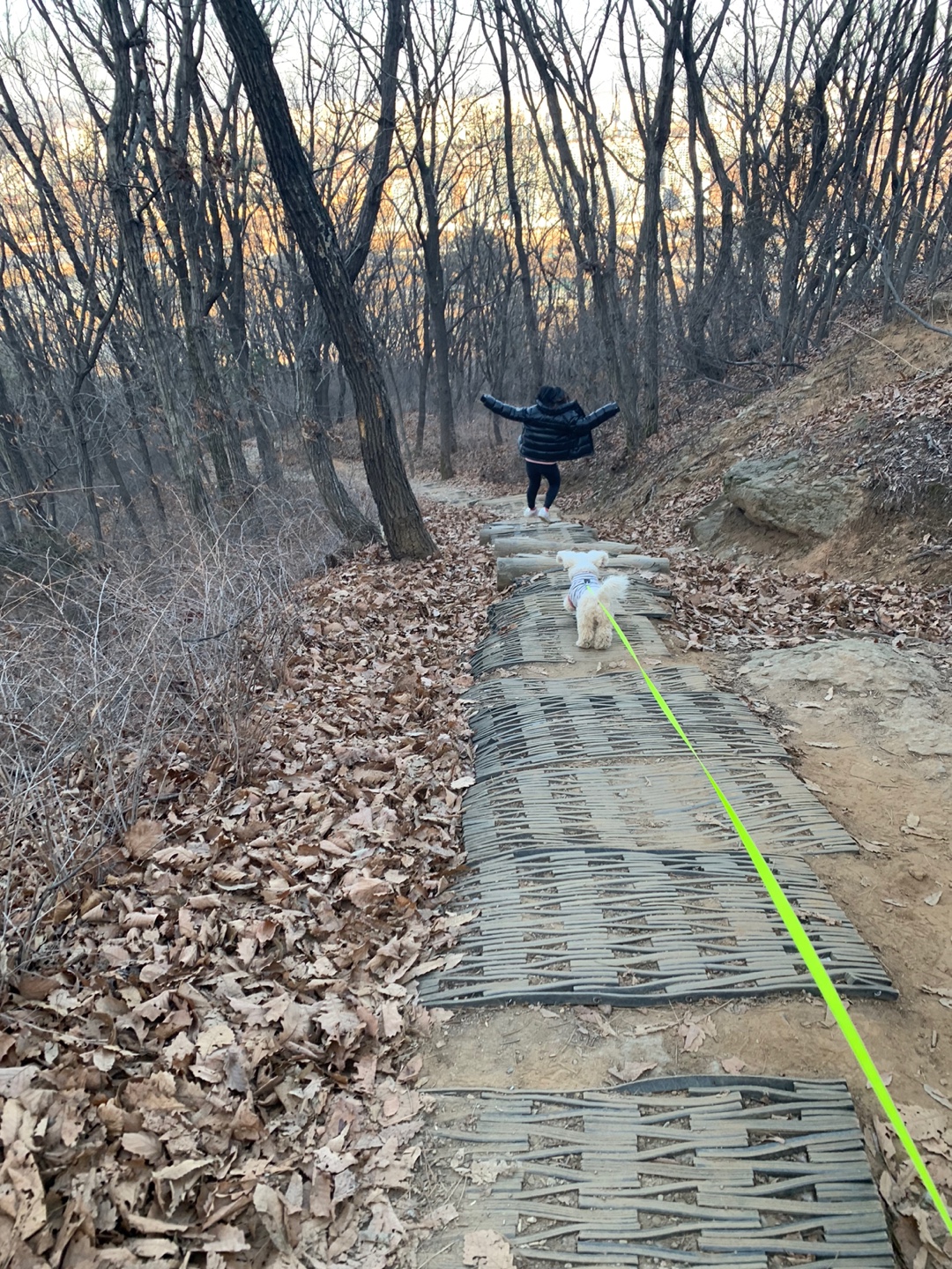 우리집 미니비숑 동구 첫 산행 모습(8)