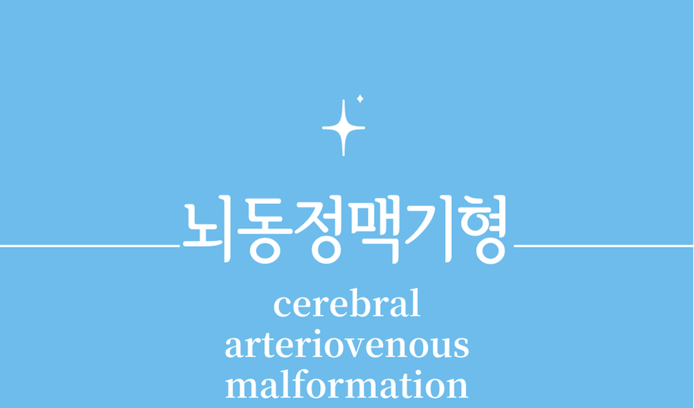 '뇌동정맥기형(cerebral arteriovenous malformation)'