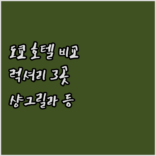 도쿄 럭셔리 호텔 3곳 비교분석 샹그