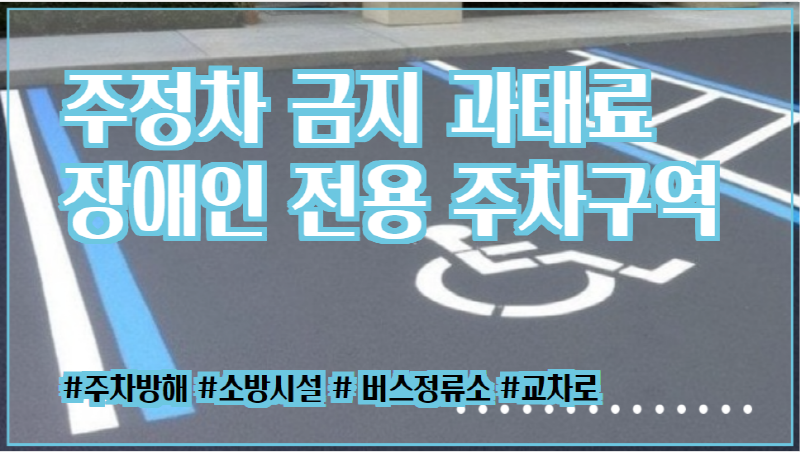  장애인 전용 주차구역 주정차 금지구역 과태료