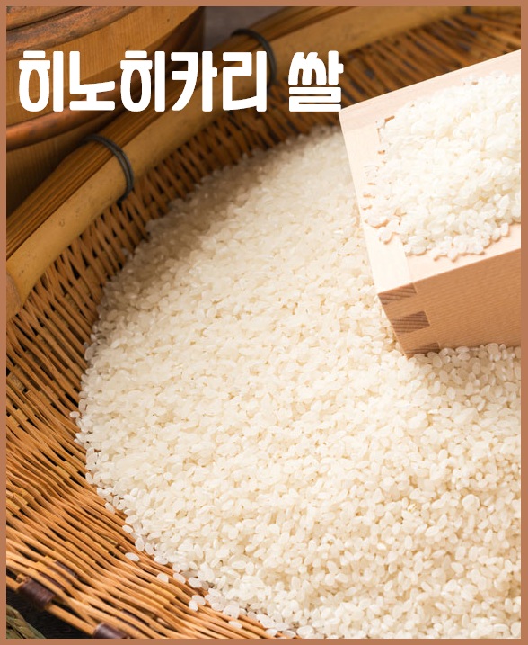히노히카리 쌀
