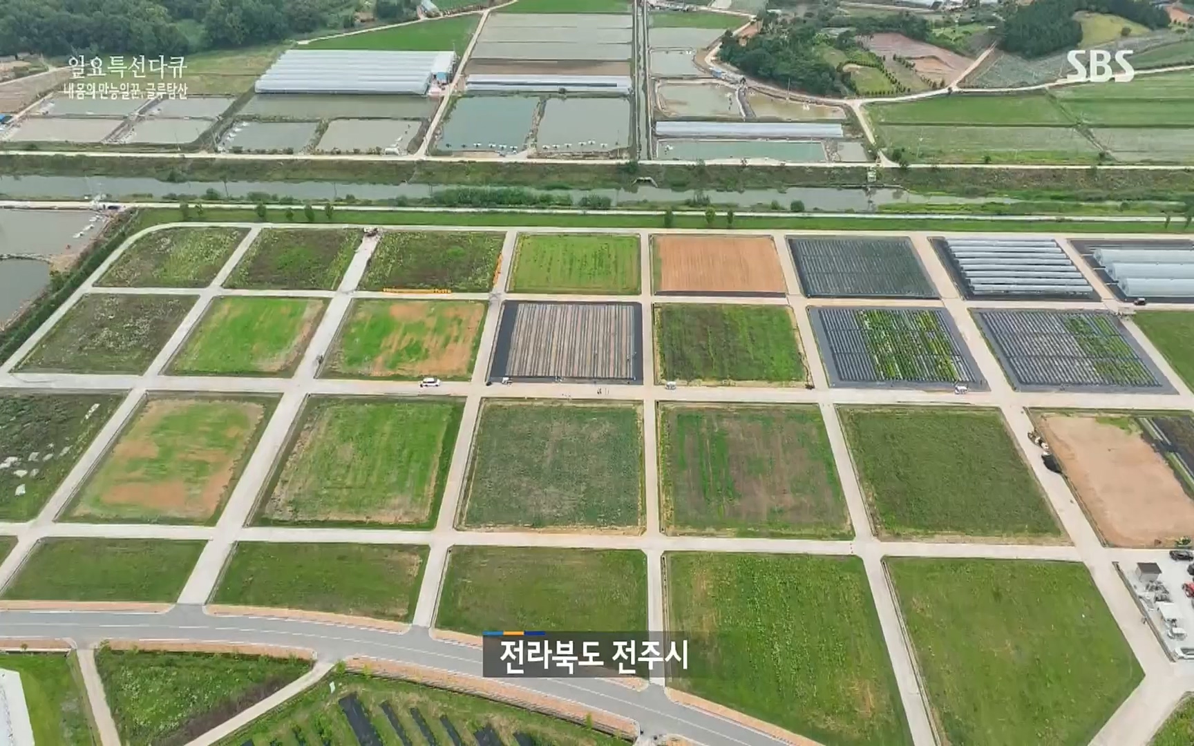 일요 특선 다큐멘터리.E283.220717p.H264-F1RST.mp4_20220718_202847.477.jpg