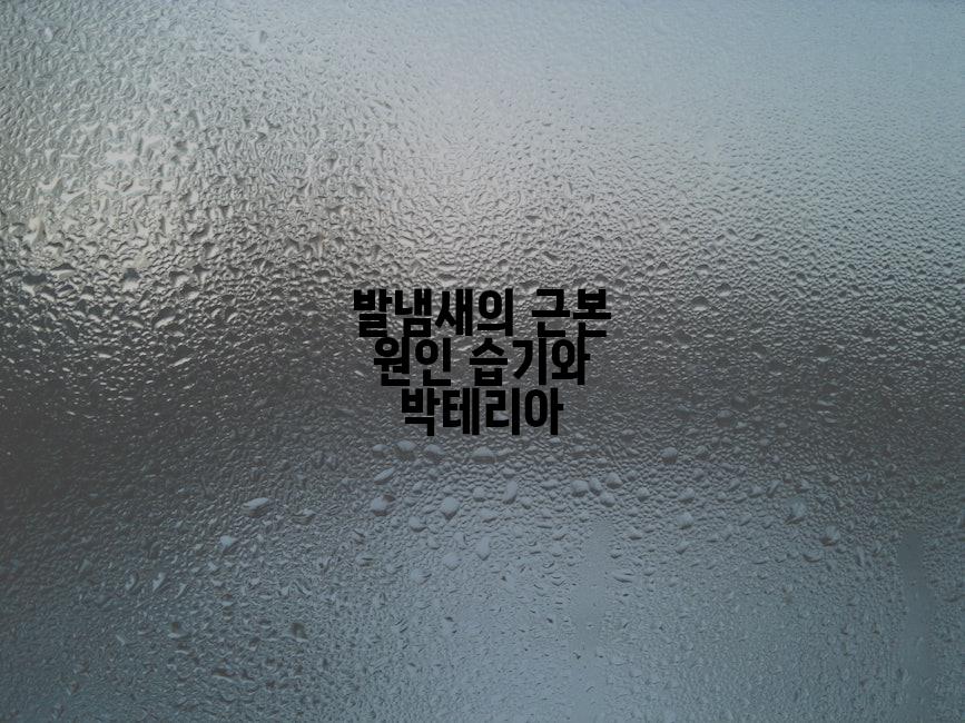 발냄새의 근본 원인 습기와 박테리아