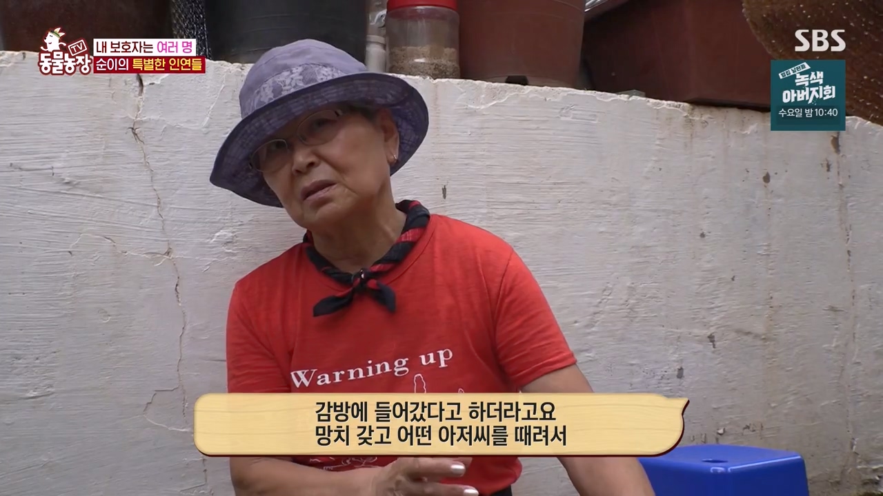 TV 동물농장.E1143.231030p-NEXT.mp4_20231029_162210.132.jpg