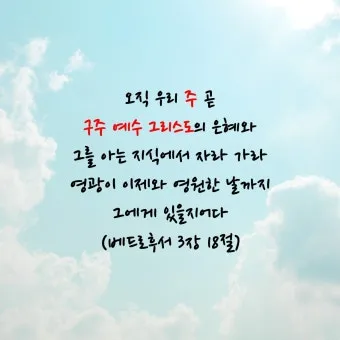 베드로후서 3장 9절 묵상 - 주의 약속은 어떤 이들이 더디다고 생각하는 것 같이 더딘 것이 아니라_19