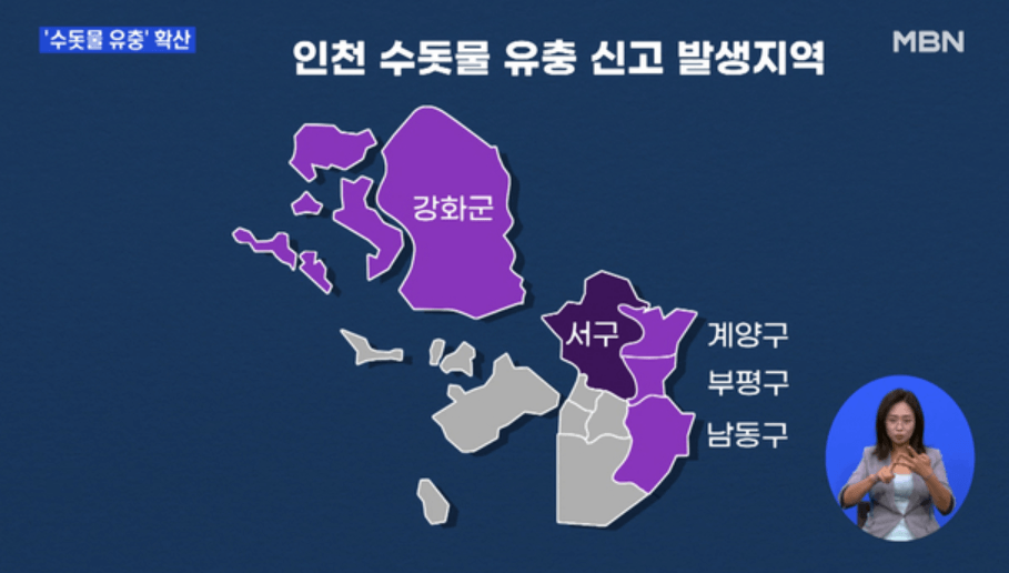  인천 수돗물 유충 사태, 인천 전지역으로 확산