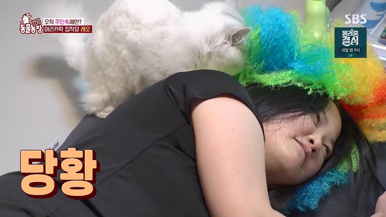 TV 동물농장 1189화 다시보기.ts_20240922_161941.866.jpg