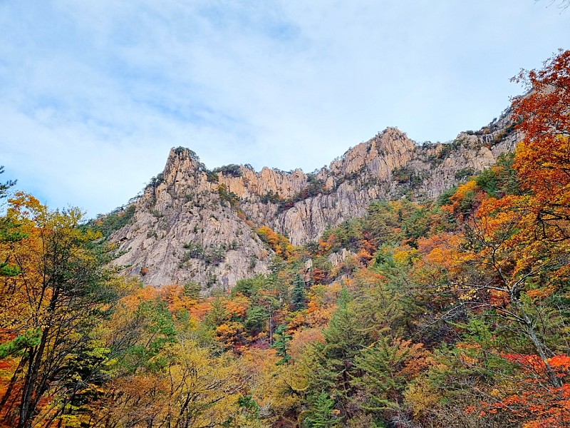 단풍2