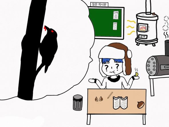  [잡다한지식] 딱따구리의 잔혹함, 그리고 짓밟힌 우리의 동심