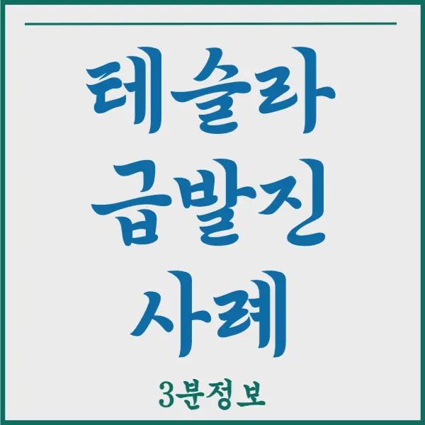 테슬라 급발진 사고 사례 이유와 테슬라의 입장과 대처는?