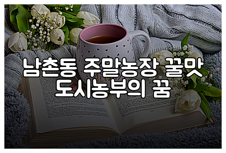 남촌동 주말농장 꿀맛 도시농부의 꿈