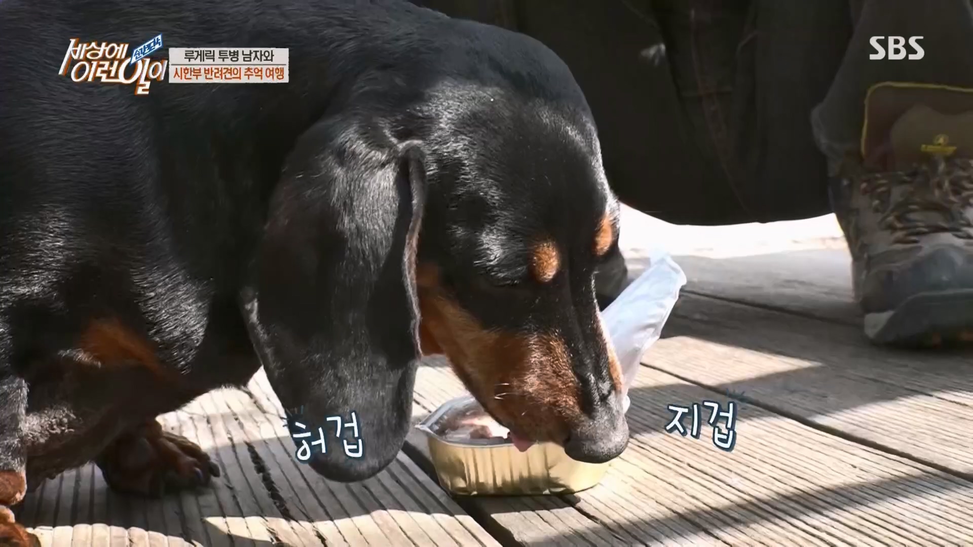 순간포착 세상에 이런일이.E1226.230418p.H264-F1RST.mp4_20230419_195514.523.jpg