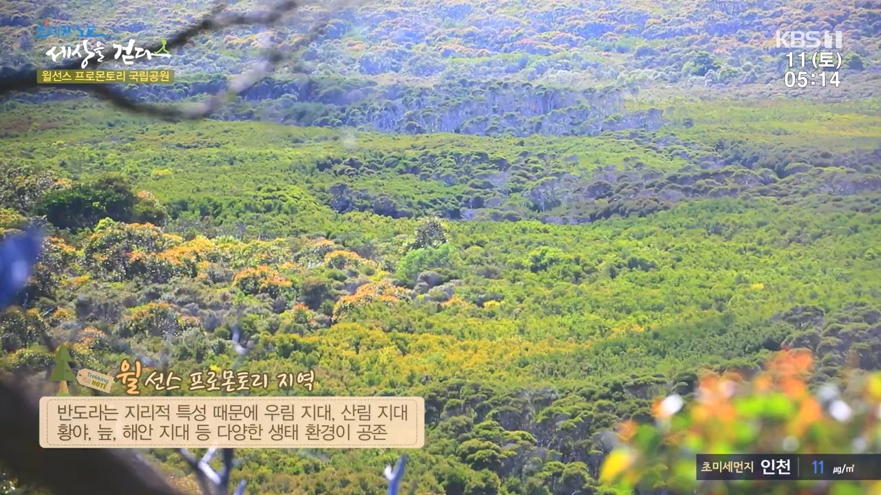 트레킹노트 세상을 걷다.E296.231112p-NEXT.mp4_20231111_182047.819.jpg