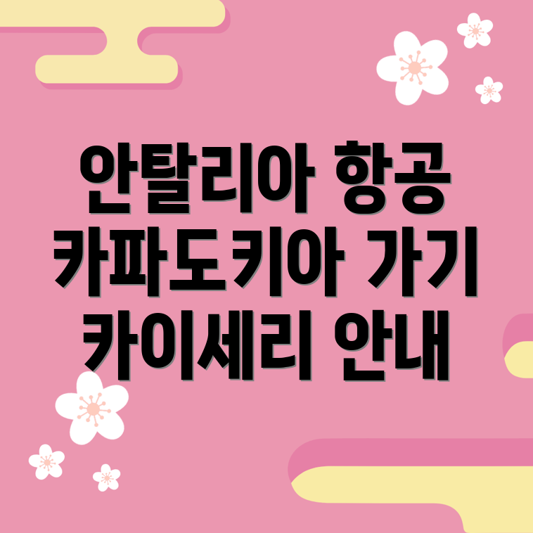 카파도키아 항공편