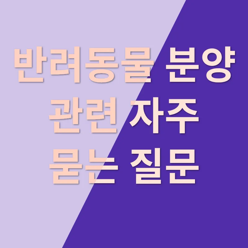 반려동물 분양_4