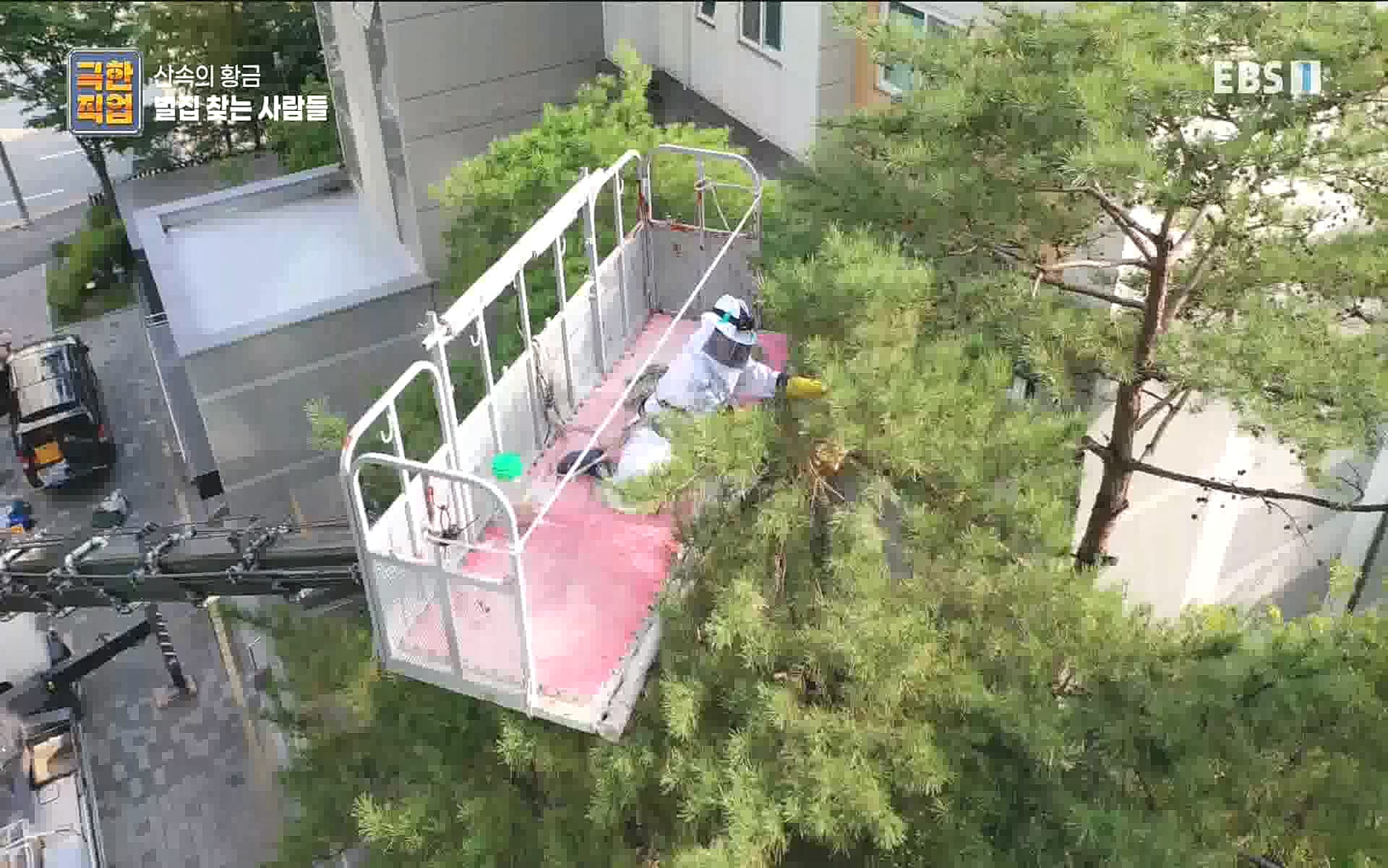 벌집 찾는 사람들.mp4_20221006_212401.824.jpg