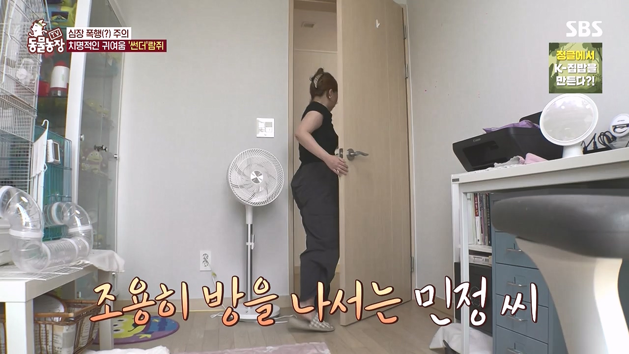 TV 동물농장.E1183.240805p-NEXT.mp4_20240804_154946.286.jpg