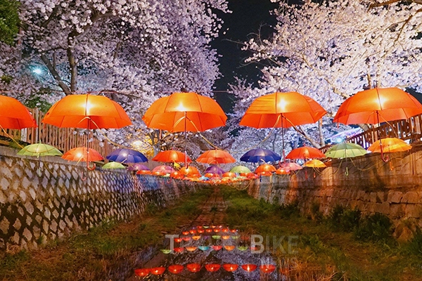 진해 군항제 벚꽃축제 안내 (2023 최신버전) 15