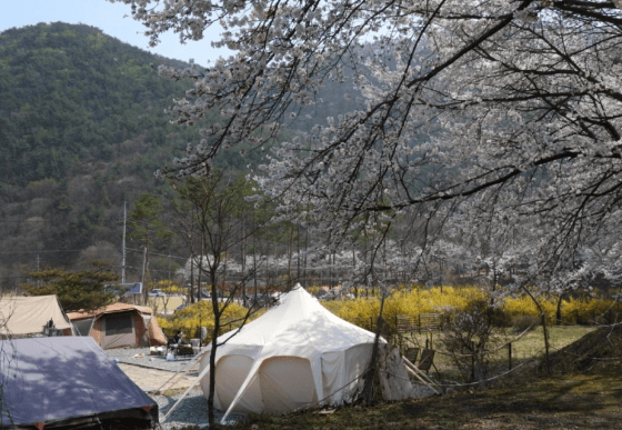 꽃구경 가볼만한 곳