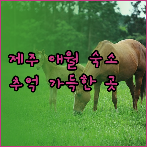 제주 애월 숙박 고민 끝! 잊지 못할