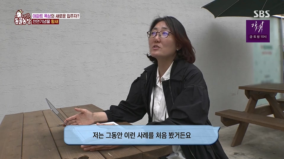 TV 동물농장.E1126.230625p.H264-F1RST.mp4_20230626_204307.164.jpg