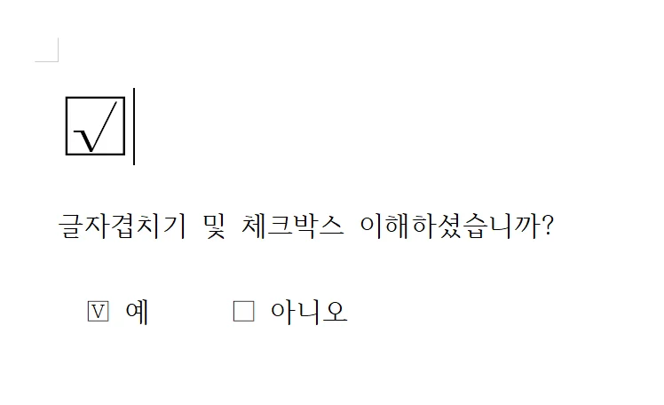 한글에서 체크 박스를 활용해서 질문을 만든 모습