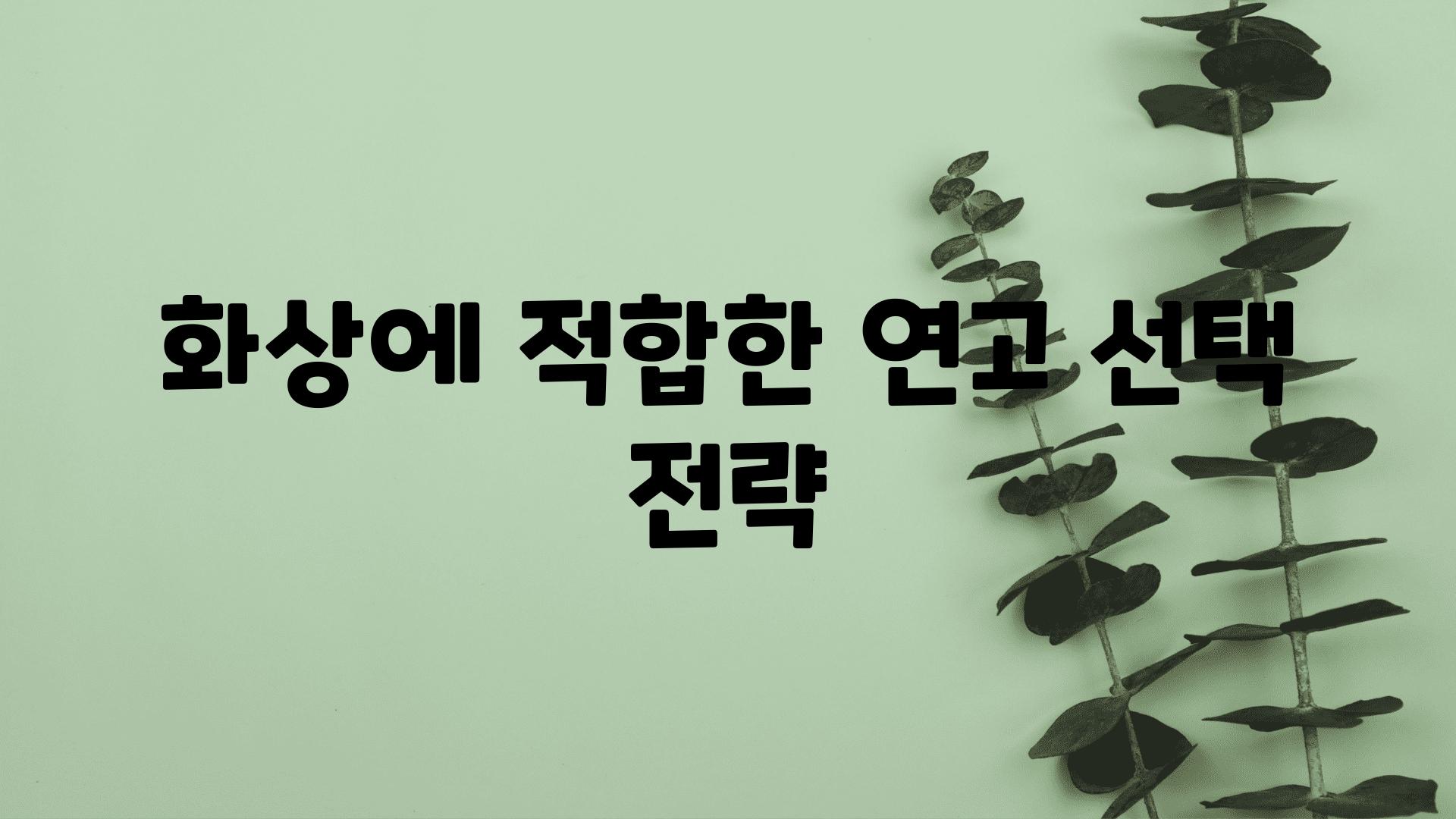 화상에 적합한 연고 선택 전략