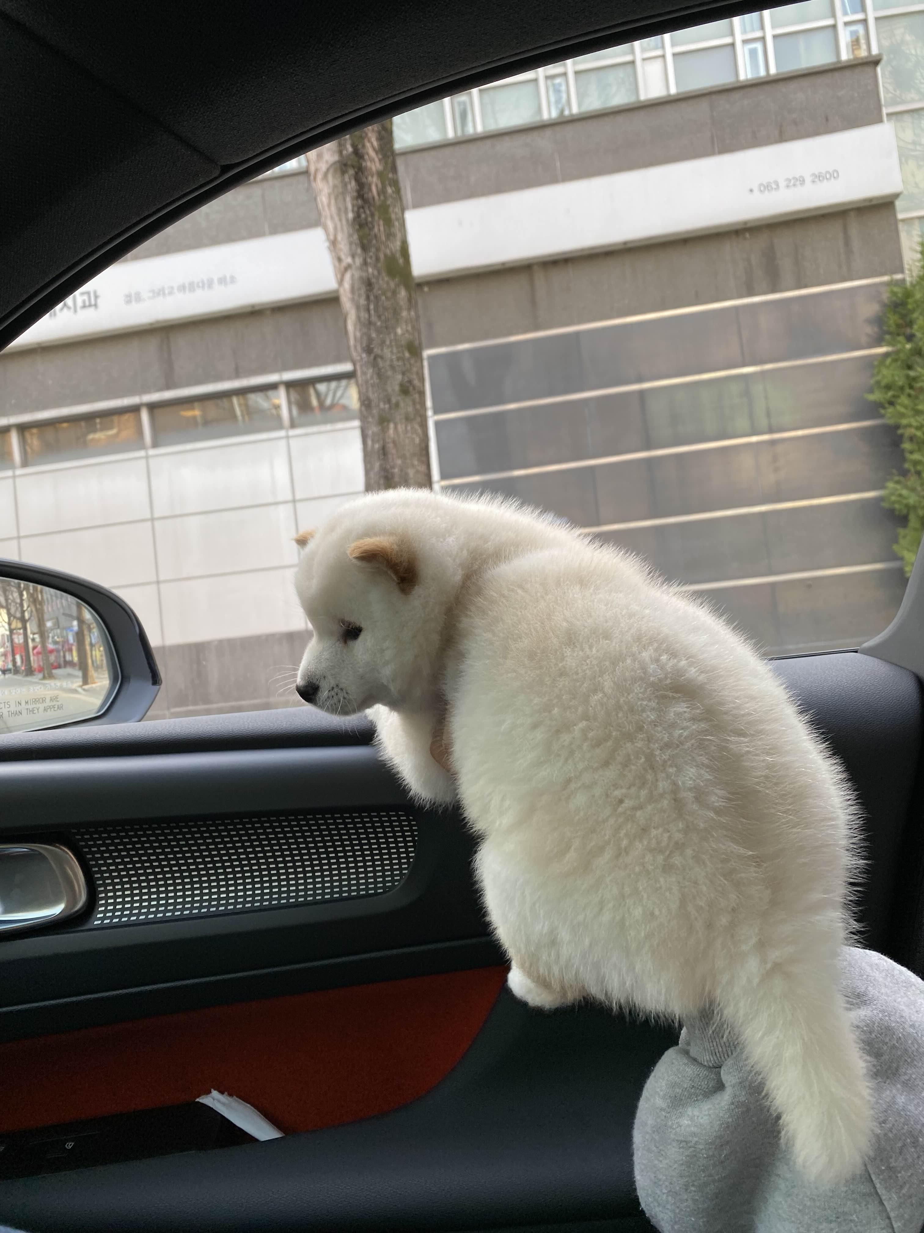alt 태그